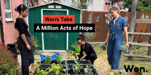 Wen staff in the community garden - raised beds and a green shed behind.